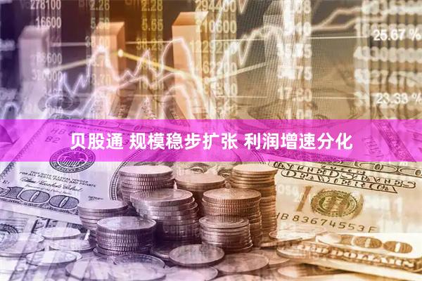 贝股通 规模稳步扩张 利润增速分化