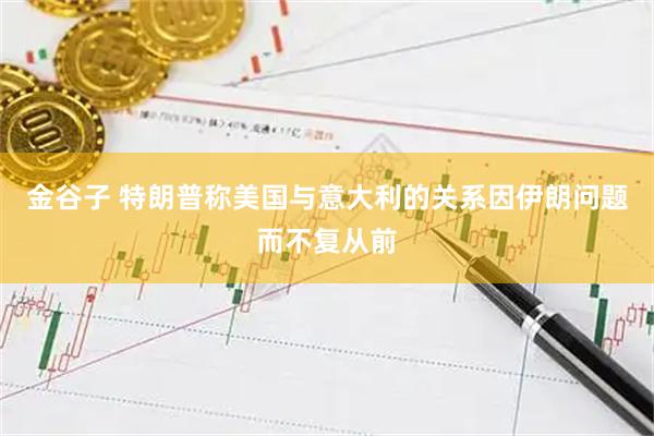 金谷子 特朗普称美国与意大利的关系因伊朗问题而不复从前